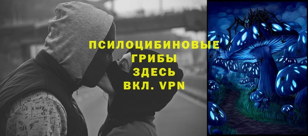 бошки Зеленокумск