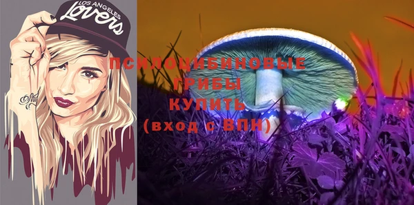 дживик Зерноград