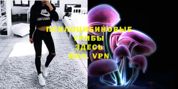 дживик Зерноград