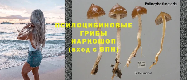 дживик Зерноград