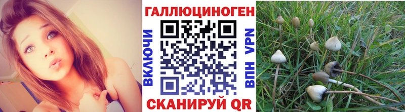 Псилоцибиновые грибы прущие грибы Комсомольск