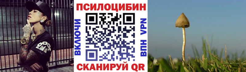 Псилоцибиновые грибы MAGIC MUSHROOMS  Купить где  Комсомольск 